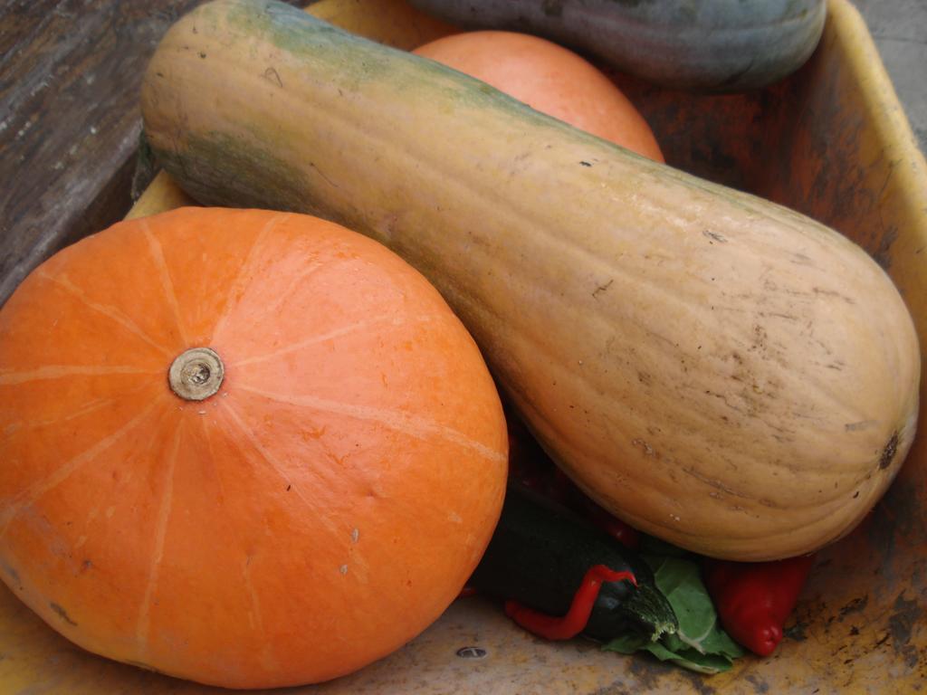 Caserio MaribelApricano エクステリア 写真